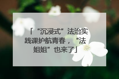 “沉浸式”法治实践课护航青春，“法姐姐”也来了