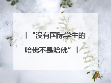 “没有国际学生的哈佛不是哈佛”
