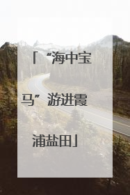 “海中宝马”游进霞浦盐田