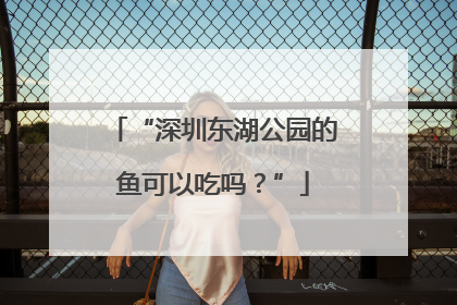“深圳东湖公园的鱼可以吃吗？”