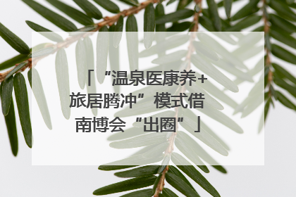 “温泉医康养+旅居腾冲”模式借南博会“出圈”