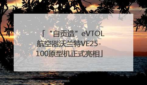 “自贡造”eVTOL航空器沃兰特VE25-100原型机正式亮相