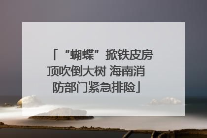 “蝴蝶”掀铁皮房顶吹倒大树 海南消防部门紧急排险