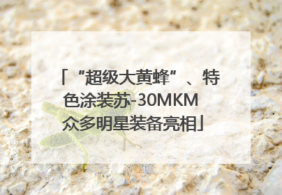 “超级大黄蜂”、特色涂装苏-30MKM 众多明星装备亮相