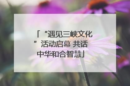 “遇见三峡文化”活动启幕 共话中华和合智慧