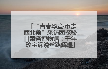 “青春华章·重走西北角”采访团探秘甘肃省博物馆：千年珍宝诉说丝路辉煌