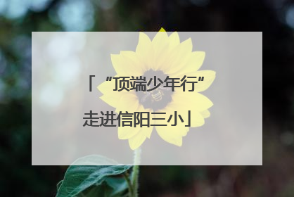 “顶端少年行”走进信阳三小
