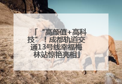 “高颜值+高科技”！成都轨道交通13号线幸福梅林站惊艳亮相