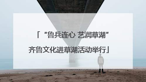 “鲁兵连心 艺润草湖”齐鲁文化进草湖活动举行