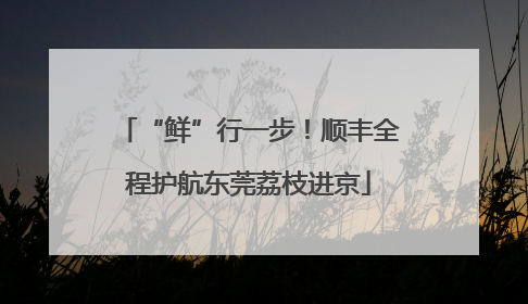 “鲜”行一步！顺丰全程护航东莞荔枝进京