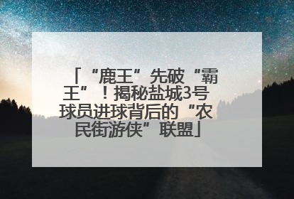 “鹿王”先破“霸王”！揭秘盐城3号球员进球背后的“农民街游侠”联盟