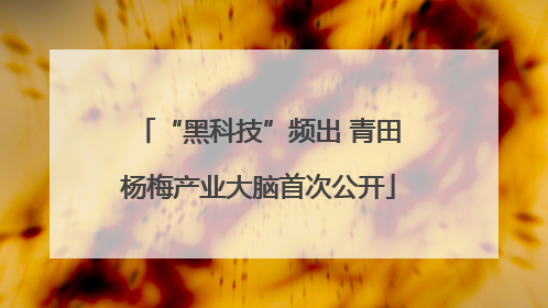 “黑科技”频出 青田杨梅产业大脑首次公开