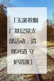 玉溪卷烟厂基层党支部活动：清理河道 守护清溪