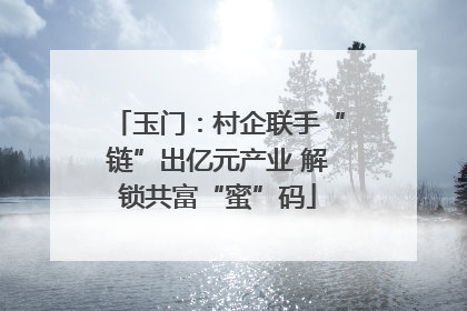 玉门：村企联手“链”出亿元产业 解锁共富“蜜”码