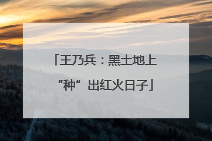 王乃兵：黑土地上“种”出红火日子