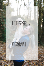 王学勤，升副部