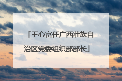王心富任广西壮族自治区党委组织部部长