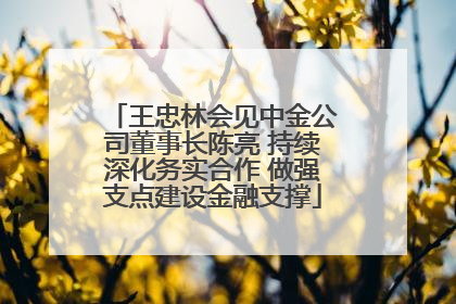 王忠林会见中金公司董事长陈亮 持续深化务实合作 做强支点建设金融支撑