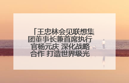 王忠林会见联想集团董事长兼首席执行官杨元庆 深化战略合作 打造世界级光电子信息产业集群