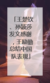 王楚钦、孙颖莎发文感谢，王励勤总结中国队表现