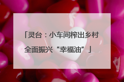 灵台：小车间榨出乡村全面振兴“幸福油”