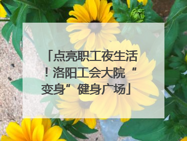 点亮职工夜生活！洛阳工会大院“变身”健身广场