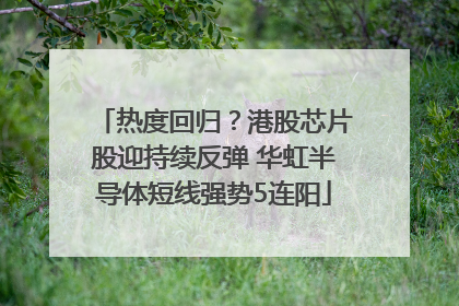 热度回归？港股芯片股迎持续反弹 华虹半导体短线强势5连阳