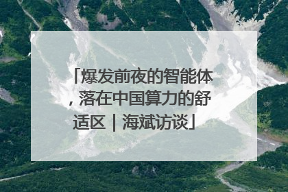 爆发前夜的智能体，落在中国算力的舒适区｜海斌访谈