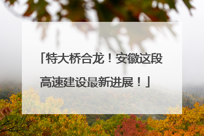 特大桥合龙！安徽这段高速建设最新进展！