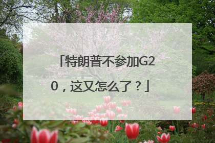 特朗普不参加G20，这又怎么了？