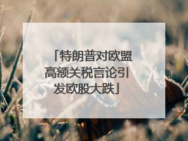 特朗普对欧盟高额关税言论引发欧股大跌
