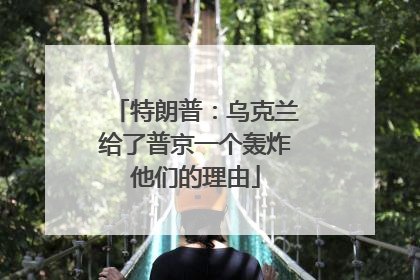 特朗普：乌克兰给了普京一个轰炸他们的理由