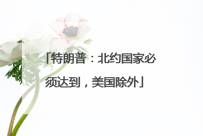 特朗普：北约国家必须达到，美国除外