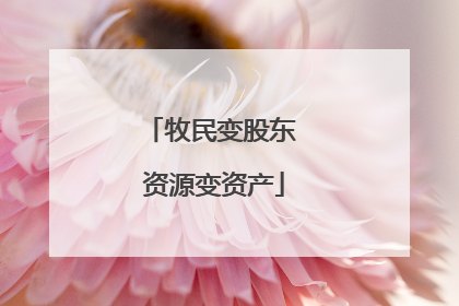 牧民变股东 资源变资产