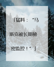 猛料：“马斯克被长期秘密监控！”