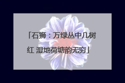 石狮：万绿丛中几树红 湿地荷塘韵无穷