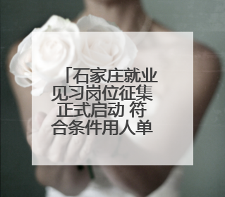 石家庄就业见习岗位征集正式启动 符合条件用人单位请尽快报名