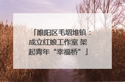 睢阳区毛堌堆镇：成立红娘工作室 架起青年“幸福桥”