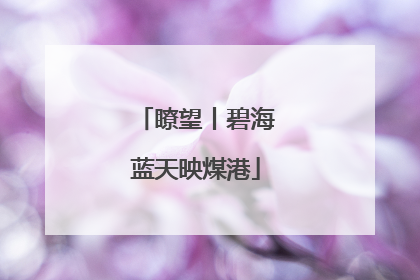 瞭望丨碧海蓝天映煤港