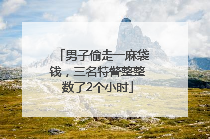 男子偷走一麻袋钱，三名特警整整数了2个小时