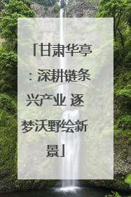 甘肃华亭：深耕链条兴产业 逐梦沃野绘新景