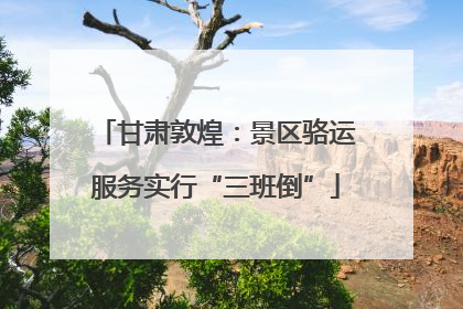 甘肃敦煌：景区骆运服务实行“三班倒”