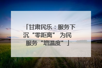 甘肃民乐：服务下沉“零距离” 为民服务“增温度”