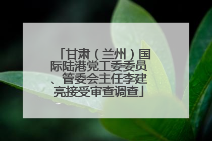 甘肃（兰州）国际陆港党工委委员、管委会主任李建亮接受审查调查