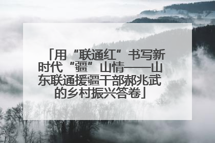 用“联通红”书写新时代“疆”山情——山东联通援疆干部郝兆武的乡村振兴答卷