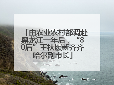 由农业农村部调赴黑龙江一年后，“80后”王杕履新齐齐哈尔副市长