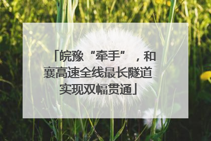 皖豫“牵手”，和襄高速全线最长隧道实现双幅贯通