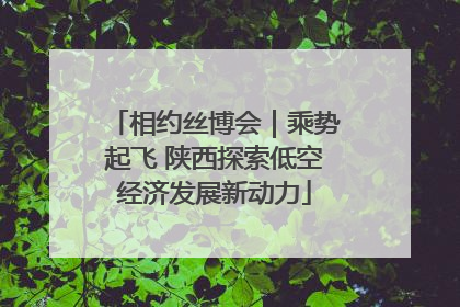 相约丝博会｜乘势起飞 陕西探索低空经济发展新动力