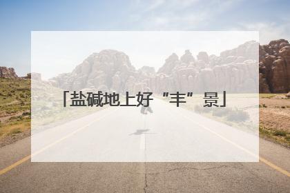 盐碱地上好“丰”景