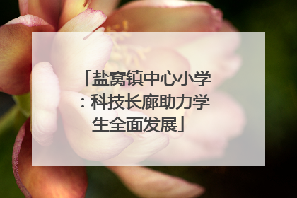 盐窝镇中心小学：科技长廊助力学生全面发展